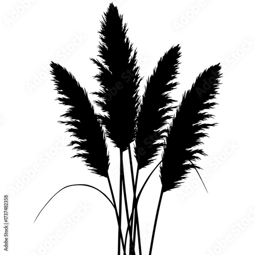 Silhouette of pampas grass plumes evokes natural elegance and bohemian style for decor silhouette flat design vector illustration white background