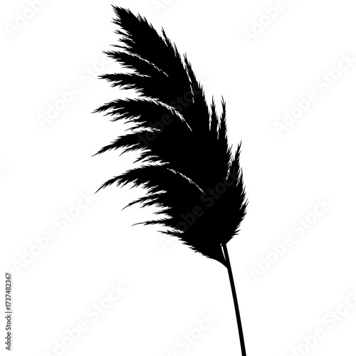 Elegant black silhouette of pampas grass plume for natural and decorative design projects silhouette flat design vector illustration white background