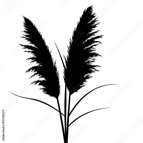 Silhouette of tall grass plumes elegant and minimalist botanical design for natural ambiance silhouette flat design vector illustration white background