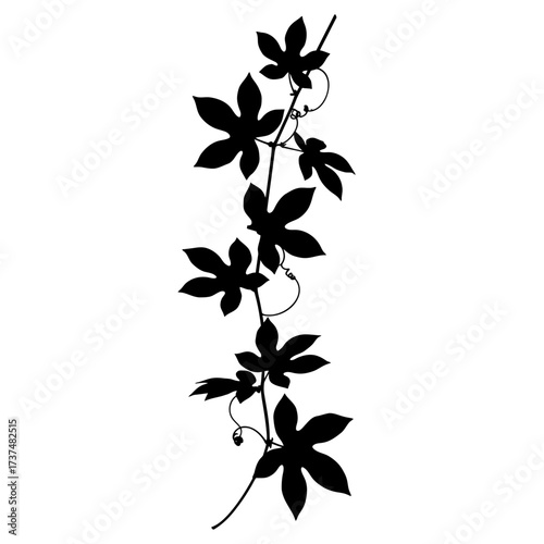 Silhouette of a passion flower vine with detailed leaves and tendrils botanical design element silhouette flat design vector illustration white background