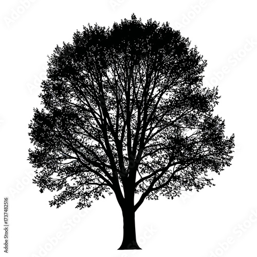 Detailed black silhouette of a mature deciduous tree with dense foliage and branches silhouette flat design vector illustration white background
