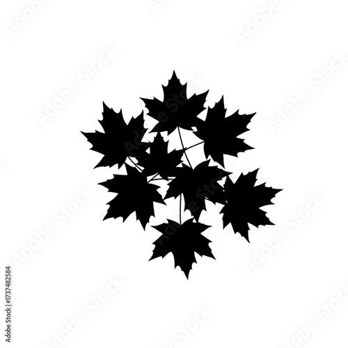 Black maple leaf cluster silhouette decorative element for autumn and canadian themed designs silhouette flat design vector illustration white background