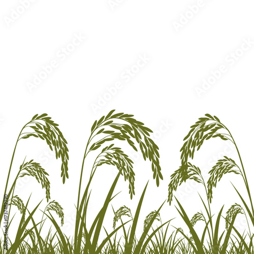 Golden green rice stalks swaying gently in the breeze agricultural field horizon silhouette flat design vector illustration white background