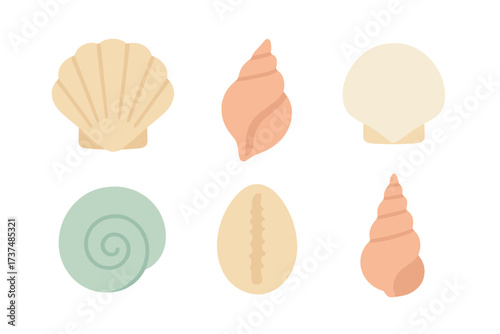 Various types of seashells displayed in soft colors on a plain background can inspire beach-themed crafts and decor