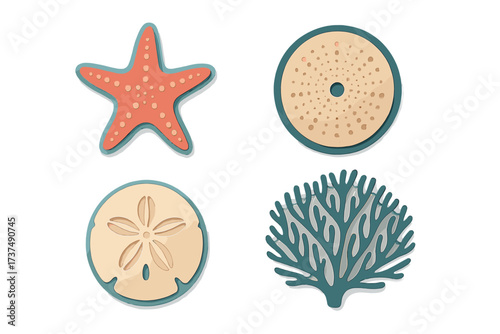 Colorful ocean-themed decorations featuring a starfish, sea urchin, sand dollar, and coral arranged on a clean surface