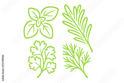 Fresh herbs including basil, rosemary, cilantro, and dill arranged in a vibrant green design for culinary inspiration