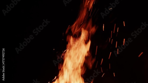 A captivating display of flames flickering against a dark background shows fire's beauty and power. Sparks leap into the air, creating a dynamic and striking visual experience.