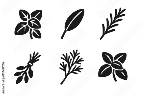 Various herbs and leaves illustrated in a simple black style for culinary and decorative use