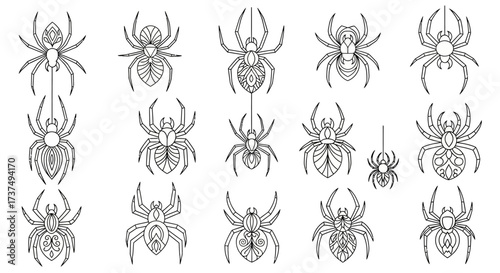 Elegant Spider Collection Line Art Illustrations of Spiders, Silhouettes, and Arachnids for Halloween Decor and Educational Resources