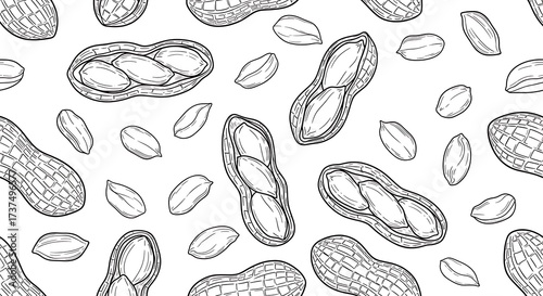 Wallpaper Mural Seamless Pattern of Hand Drawn Peanuts and Shells in Sketch Style. Torontodigital.ca