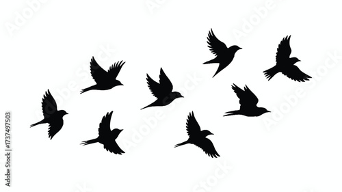 A minimalist black and white illustration of seven birds in flight against a pure white background.  
