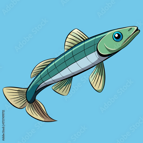 vector illustration of goldfish