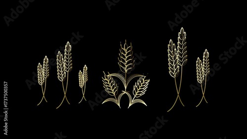 Gold outline of wheat stalks on black background grain