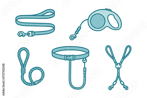 Variety of dog leashes and collars for pet owners to choose from for walks and training sessions
