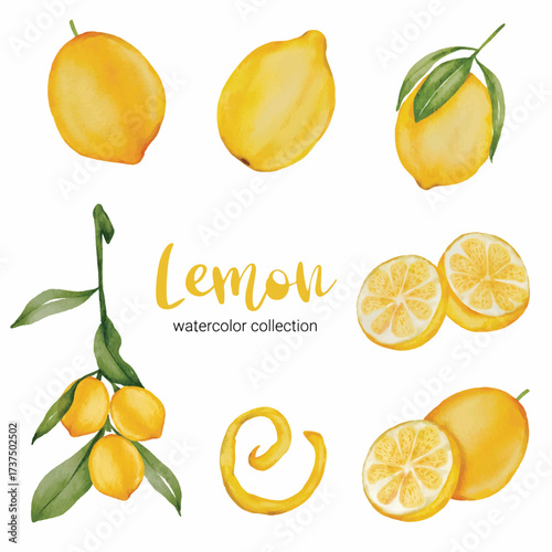 watercolor lemon clipart ilustration set