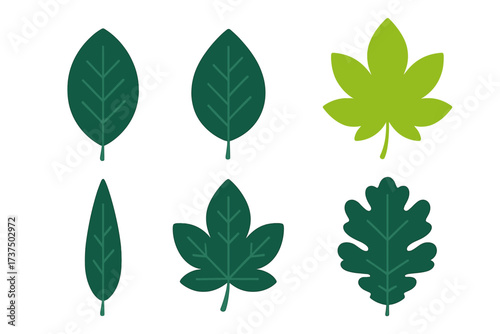 Collection of diverse green leaves representing various plant species and natural elements