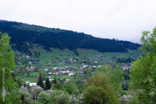 Podobny obraz