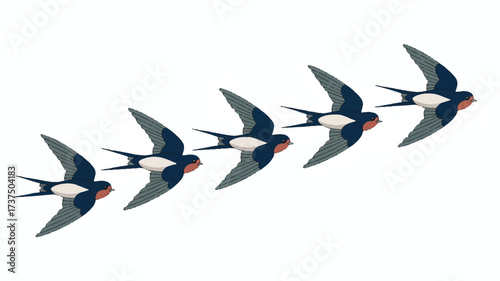 A digital illustration of five barn swallows in flight arranged in a horizontal line against a white background 