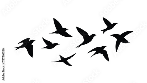 A minimalist black and white illustration of seven birds in flight against a pure white background. 