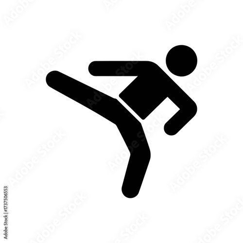 Silhouette of a person performing a martial art kick sport and selfdefense concept