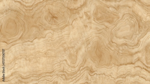 Free natural burl wood grain texture