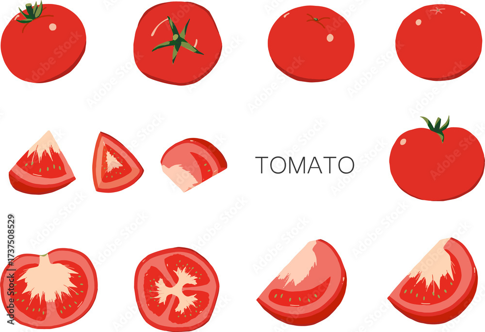 Fototapeta premium Fresh red tomato vegetable illustration isolated on transparent background