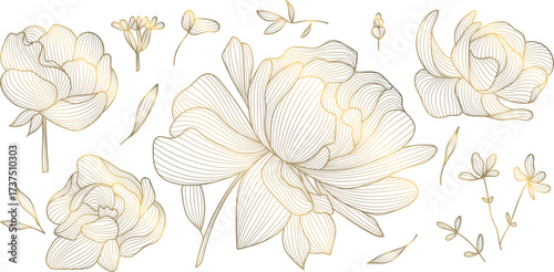 Elegant floral vector floral emblems, line ornaments, organic leaf patterns, Japanese design. Spa logos, cosmetic labels, wedding monograms, modern luxury nature templates.