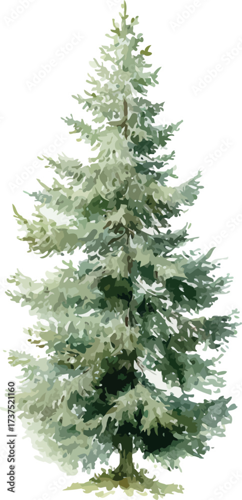 Fototapeta premium Watercolor painting of a small fir tree with delicate green needles and natural textures - vector illustration