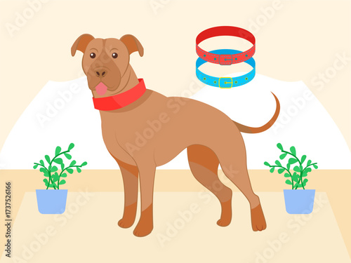 Collar Concept IllustrationVector Style