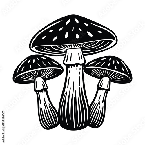 Hand drawn sketch style mushrooms traced into 