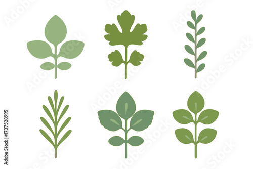 Collection of diverse green botanical leaves and fresh herb sprigs on white background