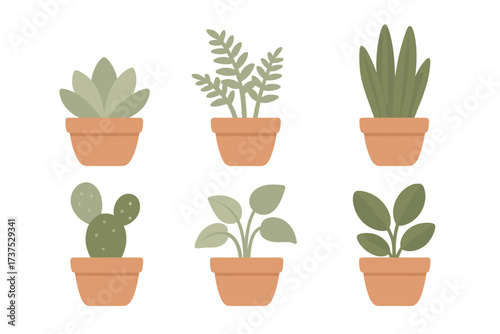 Collection of various green potted houseplants and succulents in terracotta pots