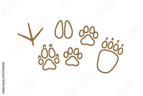 Various animal footprints showcasing different species and sizes in a simple brown outline design