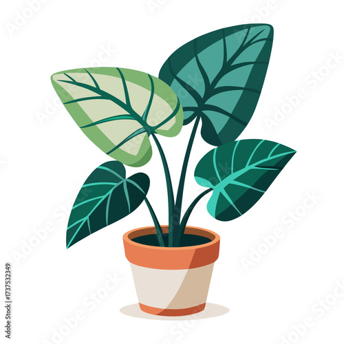 Vibrant green houseplant with large leaves in a terracotta pot