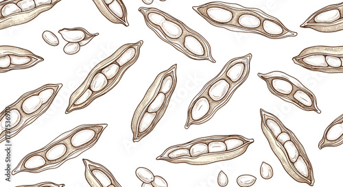 Botanical illustration of edible legumes and pods scattered across the frame.