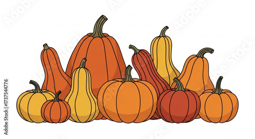 Autumn Harvest Pumpkins and Gourds Group Illustration on White Background