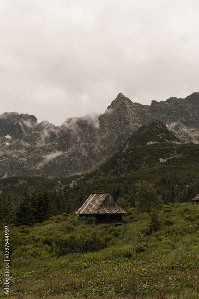 Obraz premium House in the mountains