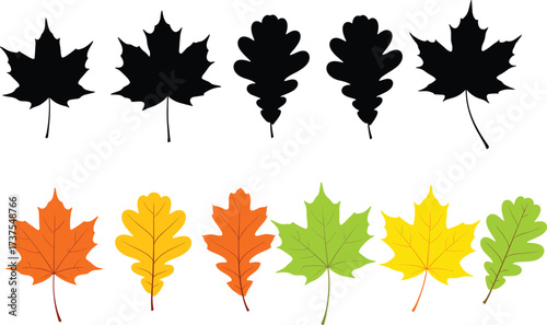 Autumn leaves vector illustration, maple and oak leaf silhouette, fall foliage design, colorful seasonal nature element, flat cartoon style, isolated set