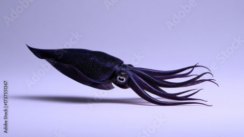 Vibrant Purple Octopus with Distinctive Black Spots Gracefully Swimming Through Clear Aquatic Environment Showcasing Marine Life and Colorful Ecosystem