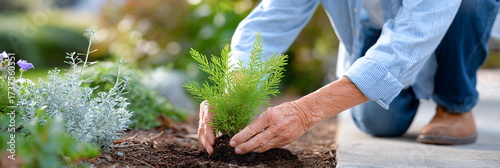 Senior man with wrinkled hands planting a young green sapling in rich soil, surrounded by vibrant flowers and lush greenery, showcasing gardening passion and nurturing nature