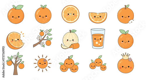 Cute Kawaii Style Various Orange Fruit Element Illustration and Design Collection