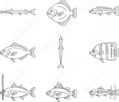 Diverse Commercial and Game Fish Line Art Icon Set - Vector Collection