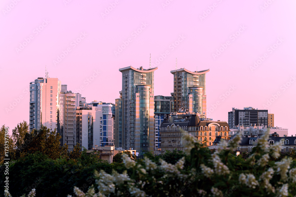 Obraz premium high rise modern city scape skyscrapers megapolis USA town center business place with foreground blossom garden and evening sunset purple sky background space
