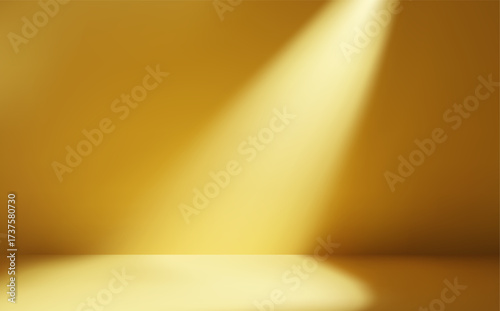 Orange room with natural light and leaves, shadow on the wall. Abstract sunlight studio backdrop.