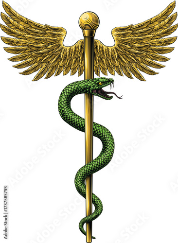 Rod of Asclepius staff medical symbol. Snake around rod or wooden staff. Often mistakenly called Caduceus. Doctor medicine and health care icon. Vintage woodcut etching style. Also features wings.