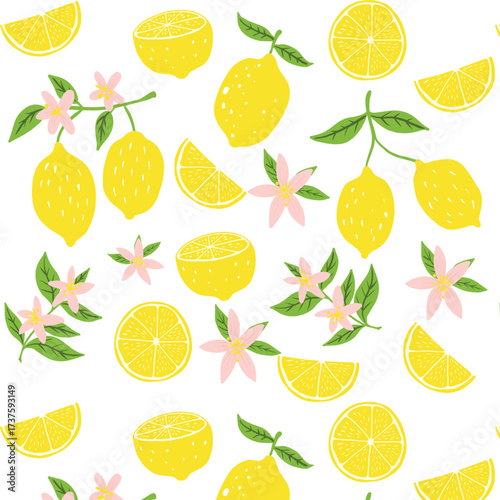 hand drawn lemons doodle illustrations