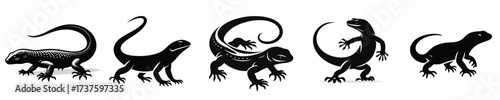 vector black and white silhouette of a lizard