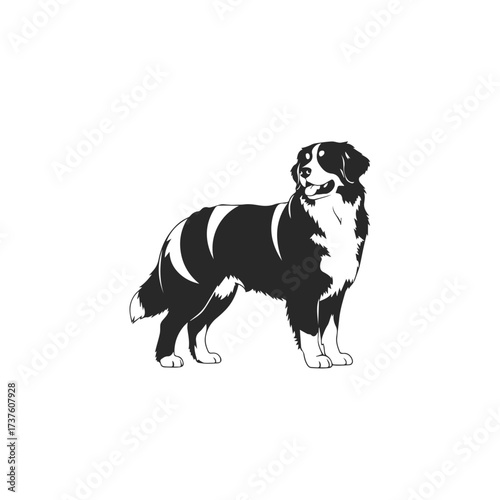 Black and White Australian Shepherd Dog Silhouette.