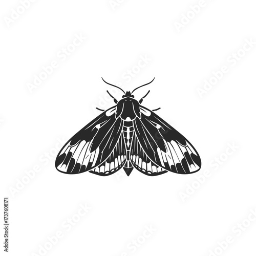 Black and White Moth Silhouette Illustration.