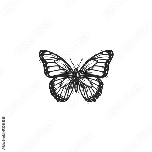 Black and White Stylized Butterfly Illustration.